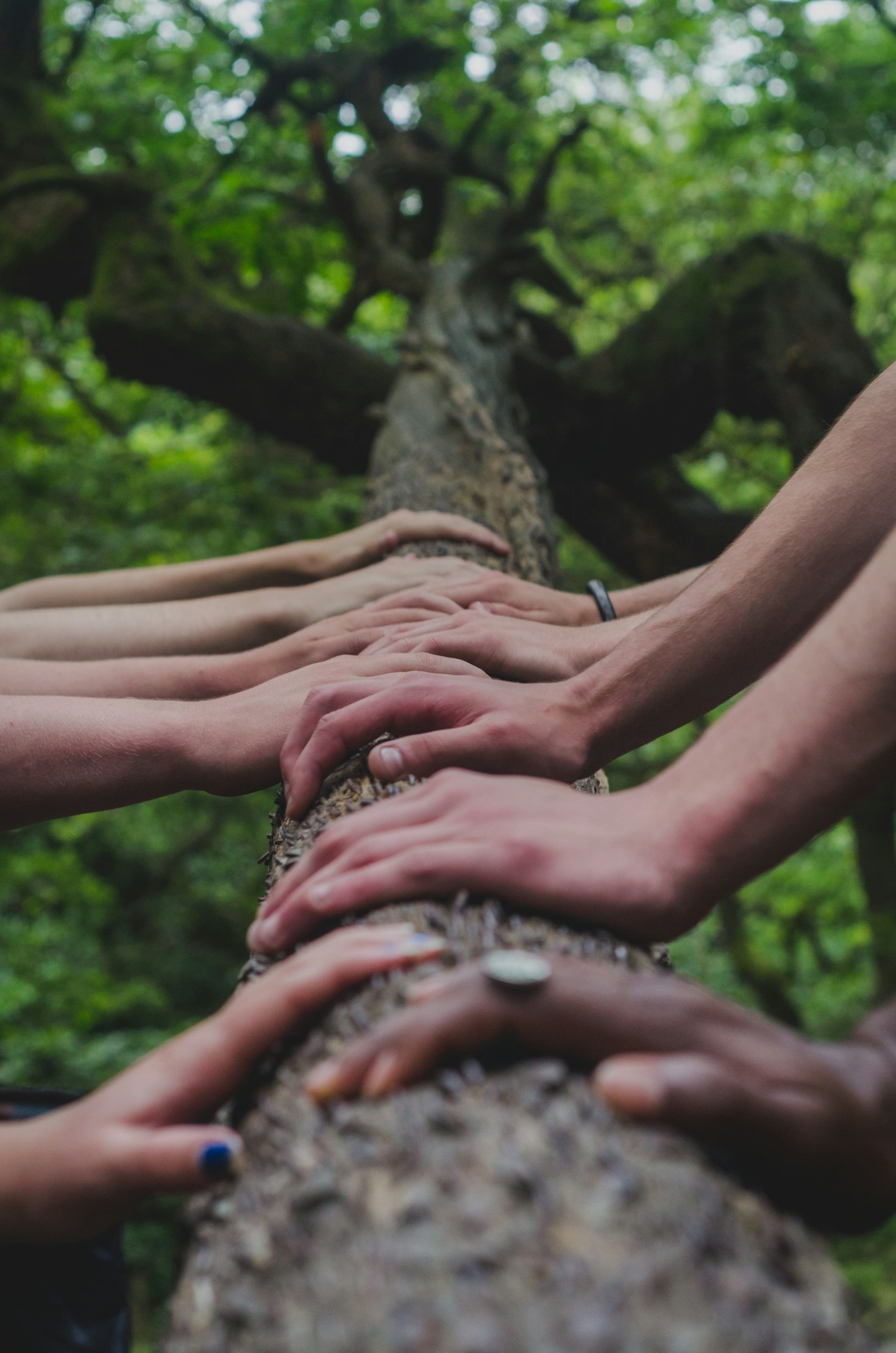 Permaculture Tips for Suburban Spaces